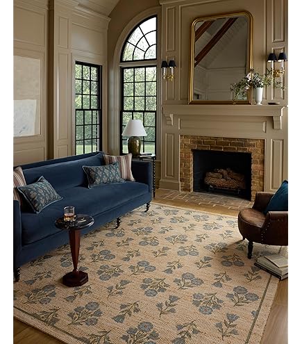 Amazon.com: Loloi Chris Loves Julia Dorothea Collection DRT-01